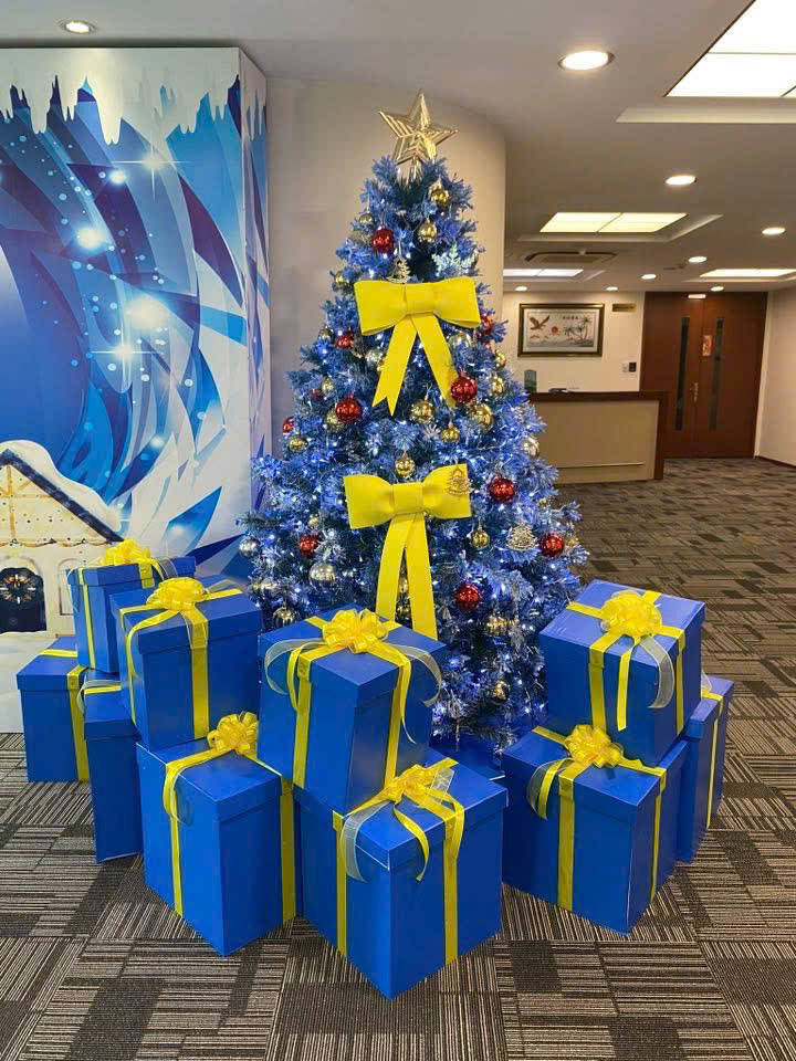 Báo Giá Trang Trí Cây Thông Noel Tại Quận Tân Phú. Ảnh 4